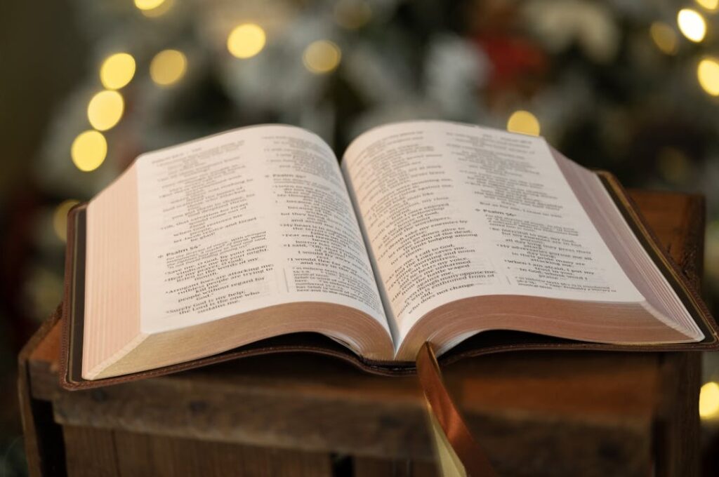 Biblical world view
